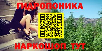 хмурый Апшеронск