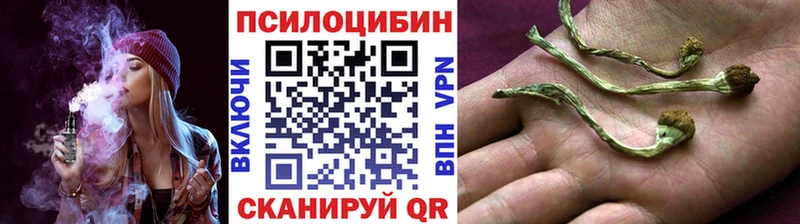 Псилоцибиновые грибы Cubensis  Березники 