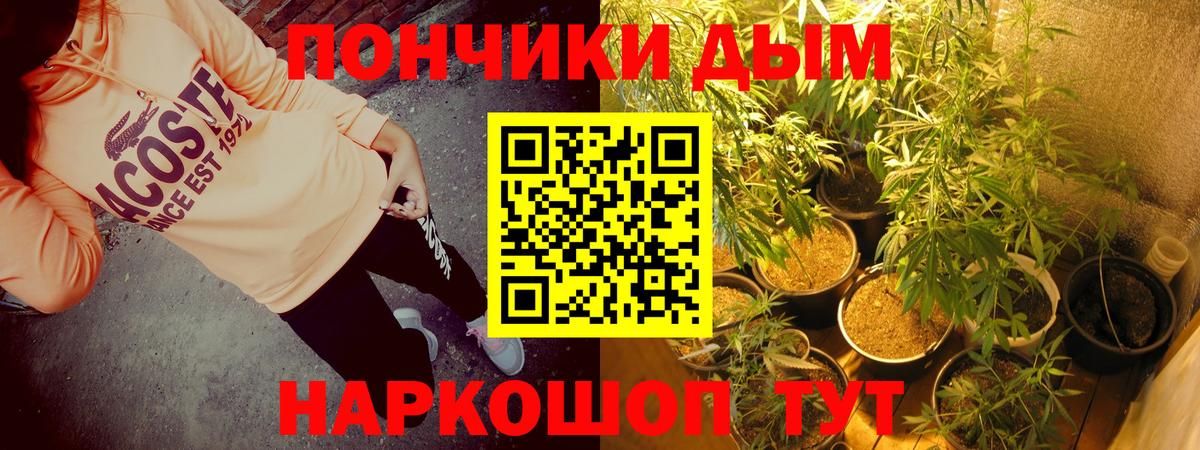 Бошки Шишки семена  МАРИХУАНА планчик  Березники  Конопля VHQ 